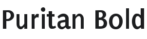 Puritan Bold Font Preview