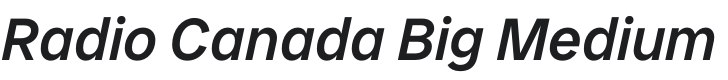 Radio Canada Big Medium Italic Font Preview