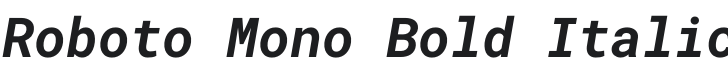 Roboto Mono Bold Italic Font Preview
