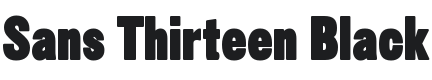 Sans Thirteen Black Font Preview