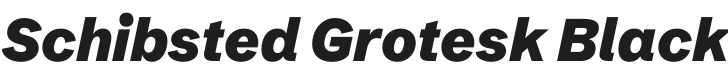 Schibsted Grotesk Black Italic Font Preview
