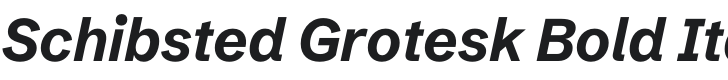 Schibsted Grotesk Bold Italic Font Preview