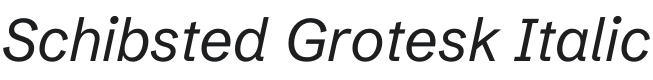 Schibsted Grotesk Italic Font Preview