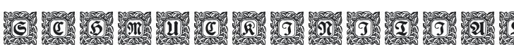 Schmuck-Initialen 2 Font Preview