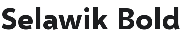 Selawik Bold Font Preview