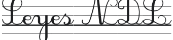 Seyes NDL Font Preview