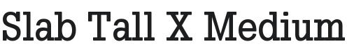 Slab Tall X Medium Font Preview