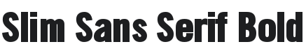 Slim Sans Serif Bold Font Preview