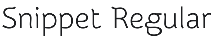 Snippet Font Preview