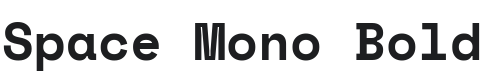 Space Mono Bold Font Preview