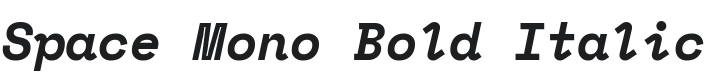 Space Mono Bold Italic Font Preview