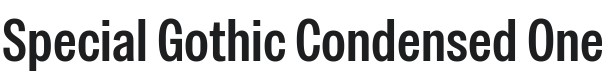 Special Gothic Condensed One Font Preview