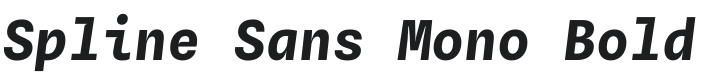 Spline Sans Mono Bold Italic Font Preview