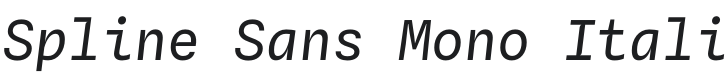 Spline Sans Mono Italic Font Preview
