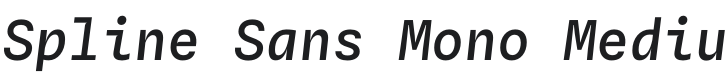 Spline Sans Mono Medium Italic Font Preview