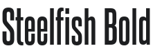 Steelfish Bold Font Preview