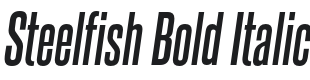 Steelfish Bold Italic Font Preview