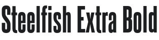 Steelfish Extra Bold Font Preview