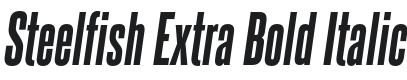 Steelfish Extra Bold Italic Font Preview
