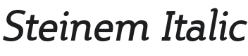 Steinem-Italic Font Preview
