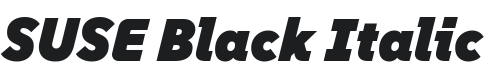 SUSE Black Italic Font Preview