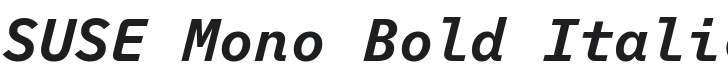 SUSE Mono Bold Italic Font Preview