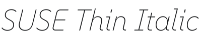 SUSE Thin Italic Font Preview