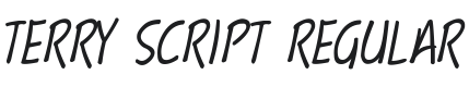 Terry Script Font Preview