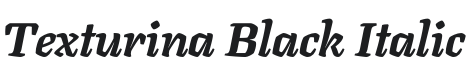Texturina Black Italic Font Preview