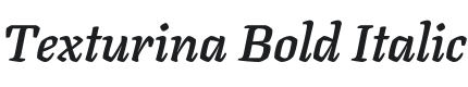 Texturina Bold Italic Font Preview