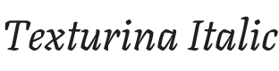 Texturina Italic Font Preview