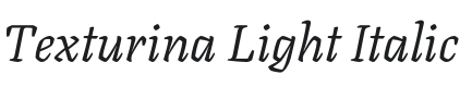 Texturina Light Italic Font Preview