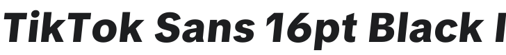 TikTok Sans 16pt Black Italic Font Preview