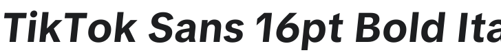 TikTok Sans 16pt Bold Italic Font Preview