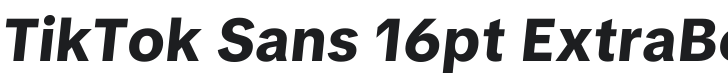 TikTok Sans 16pt ExtraBold Italic Font Preview
