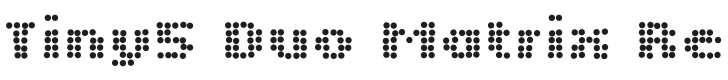 Tiny5 Duo Matrix Regular Font Preview