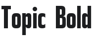 Topic Bold Font Preview
