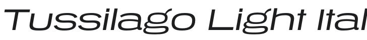 Tussilago Light Italic Font Preview