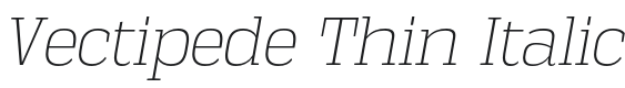 Vectipede Thin Italic Font Preview