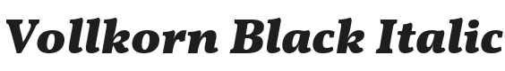 Vollkorn Black Italic Font Preview