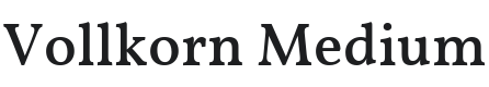 Vollkorn Medium Font Preview