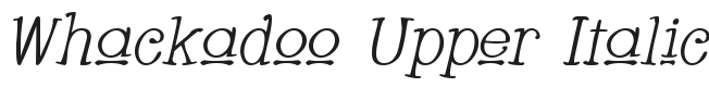 Whackadoo Upper Italic Font Preview