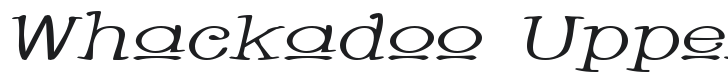 Whackadoo Upper Wide Italic Font Preview