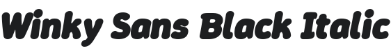 Winky Sans Black Italic Font Preview