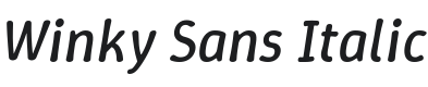 Winky Sans Italic Font Preview