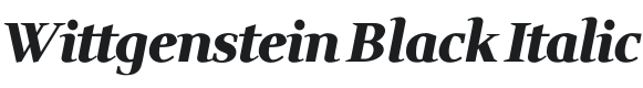 Wittgenstein Black Italic Font Preview