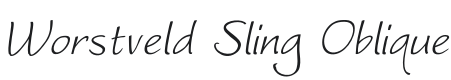 Worstveld Sling Oblique Font Preview