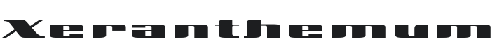 Xeranthemum Font Preview