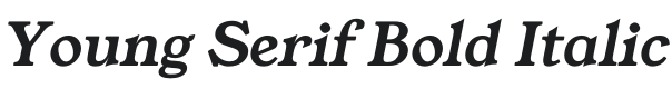 Young Serif Bold Italic Font Preview
