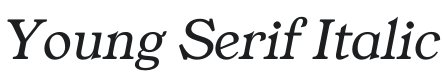 Young Serif Italic Font Preview